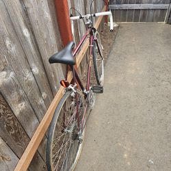 Regent Bike 
