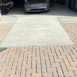 Large Area Rug – Sage Green (7’9” x 9’6”)