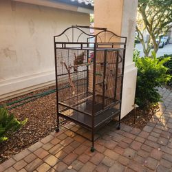Small Parrot But Large Bird Cage 30x30x65.  You And Me