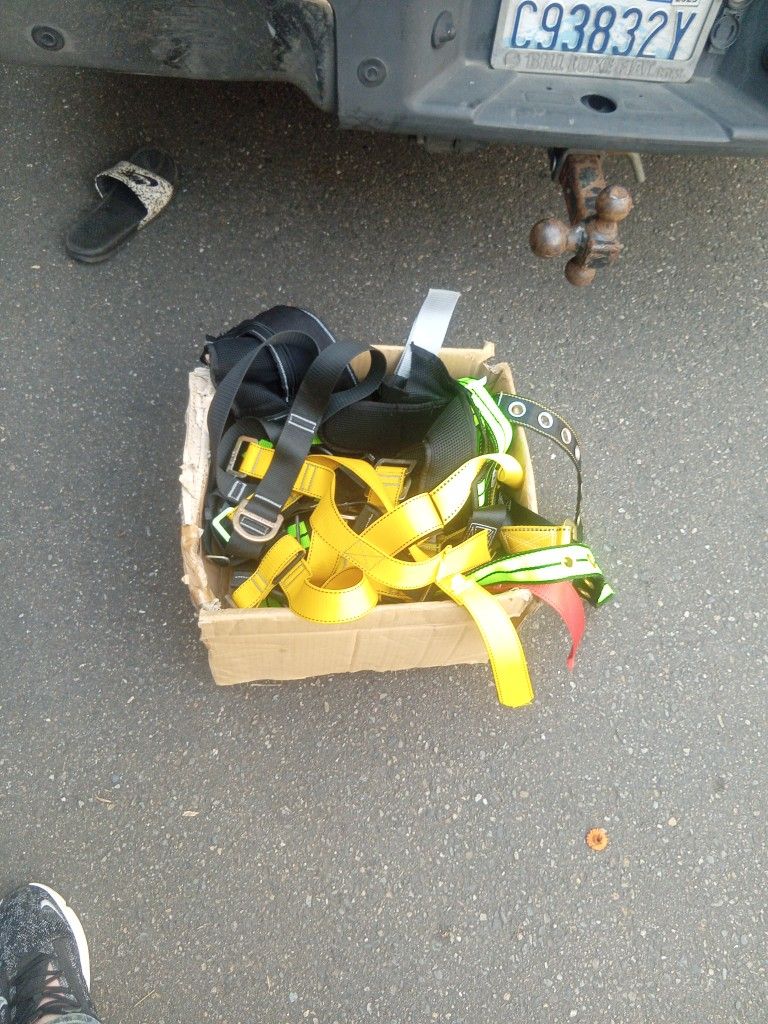 Whole Box Of Brand New Harnesses