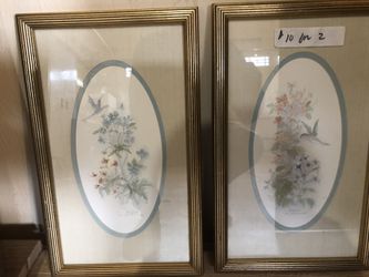 Set of Humming Bird Pictures