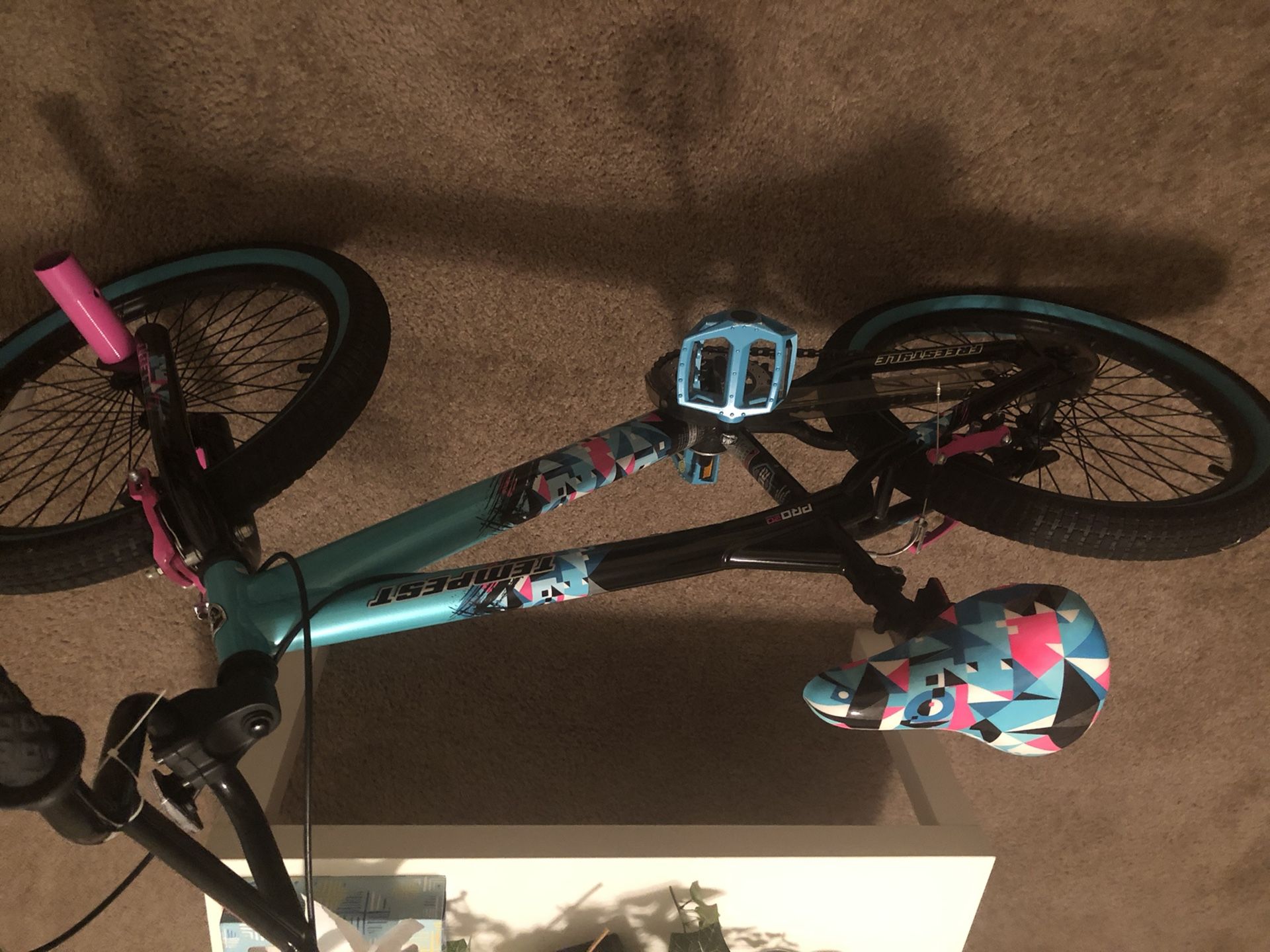 Girls 20 inch Kent Bike