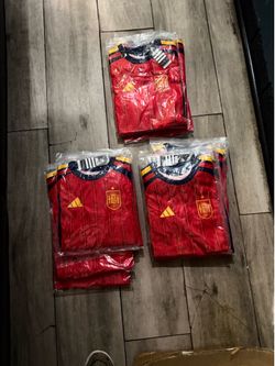 Spain World Cup