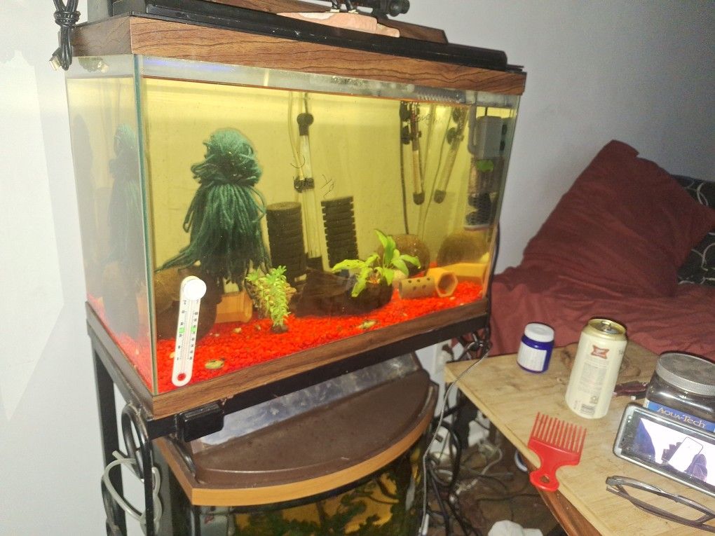 20 Gallon Aquarium