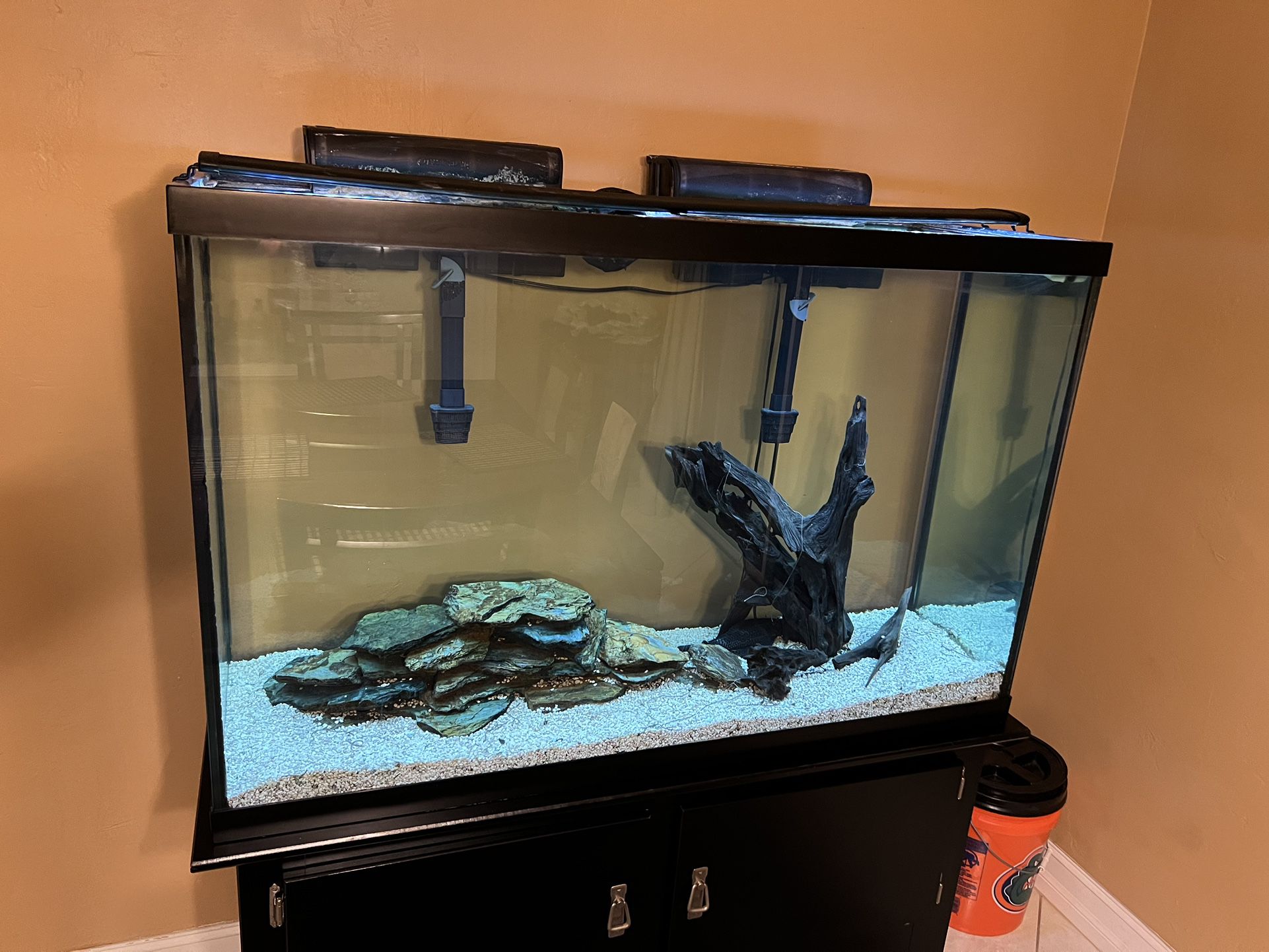 Fish Tank W/ Stand 110 Gallon