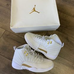 Jordan 12 OVO - Size 11