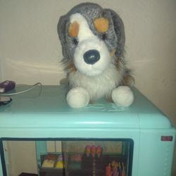 Douglas Stuffed Animal