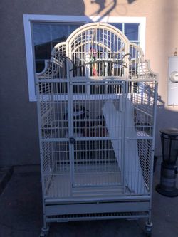 Bird Cage