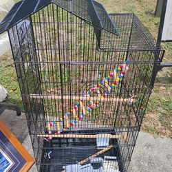 Bird Cage