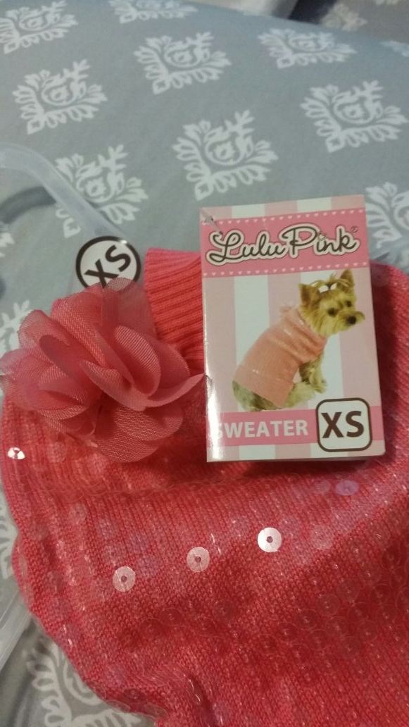 Small dog Sweater