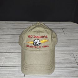 Otto Brand Baseball Cap BC Industrial Whatever It Takes Hat Work Don't Play