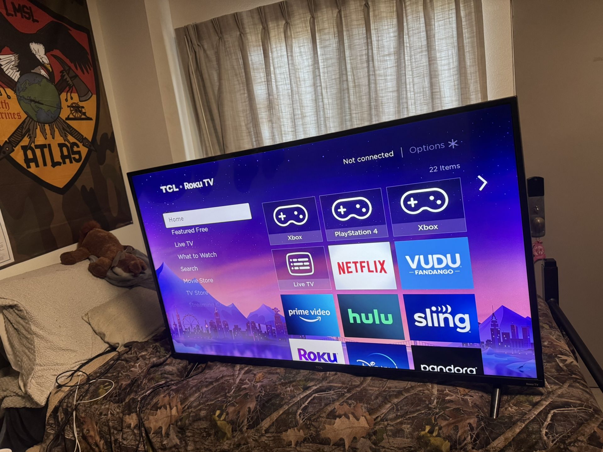 Roku Tv 55in