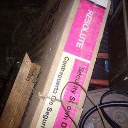 Brand Resolute Steel Security Door 30"X80" 