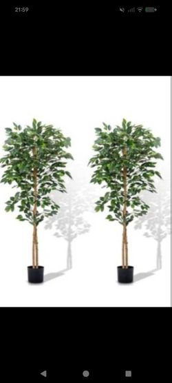 2 faux ficus trees tree pair in one box new