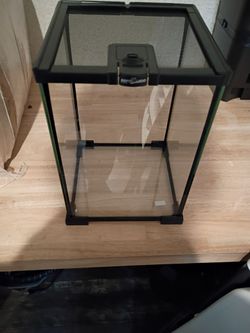 Tank for spiders and insects