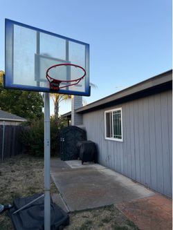Basketball court