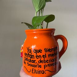 Muy Bonita y saludable plantita disponible en el area de Ontario $23