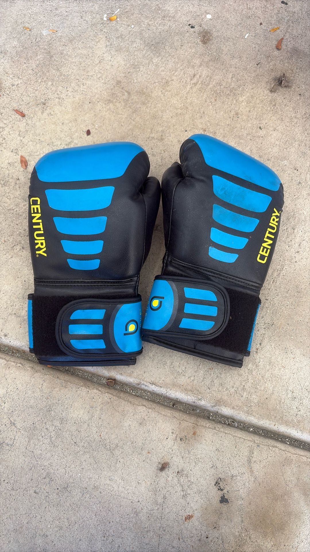 Boxing Gloves 