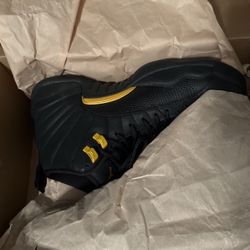 Jordan 12