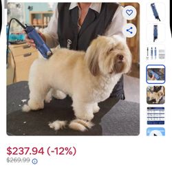 Oster Turbo Whit And Clippers