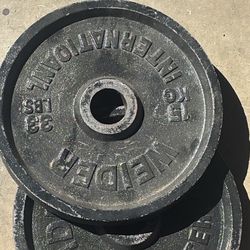 Weider Weight Plate 