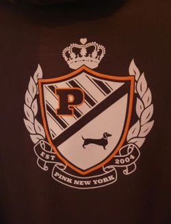 VS Pink Hoodie Size M