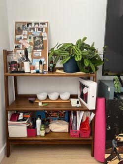 West Elm Mid Century Low Shelf Acorn 