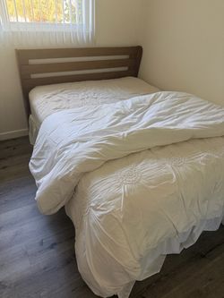 Solid Wood Platform Queen Bed by Millwood Pines
