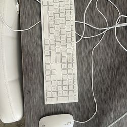 HP Wired Keyboard And Mouse 