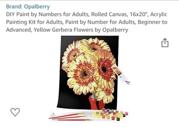Diy acrylic paint by numbers painting kit -brand new