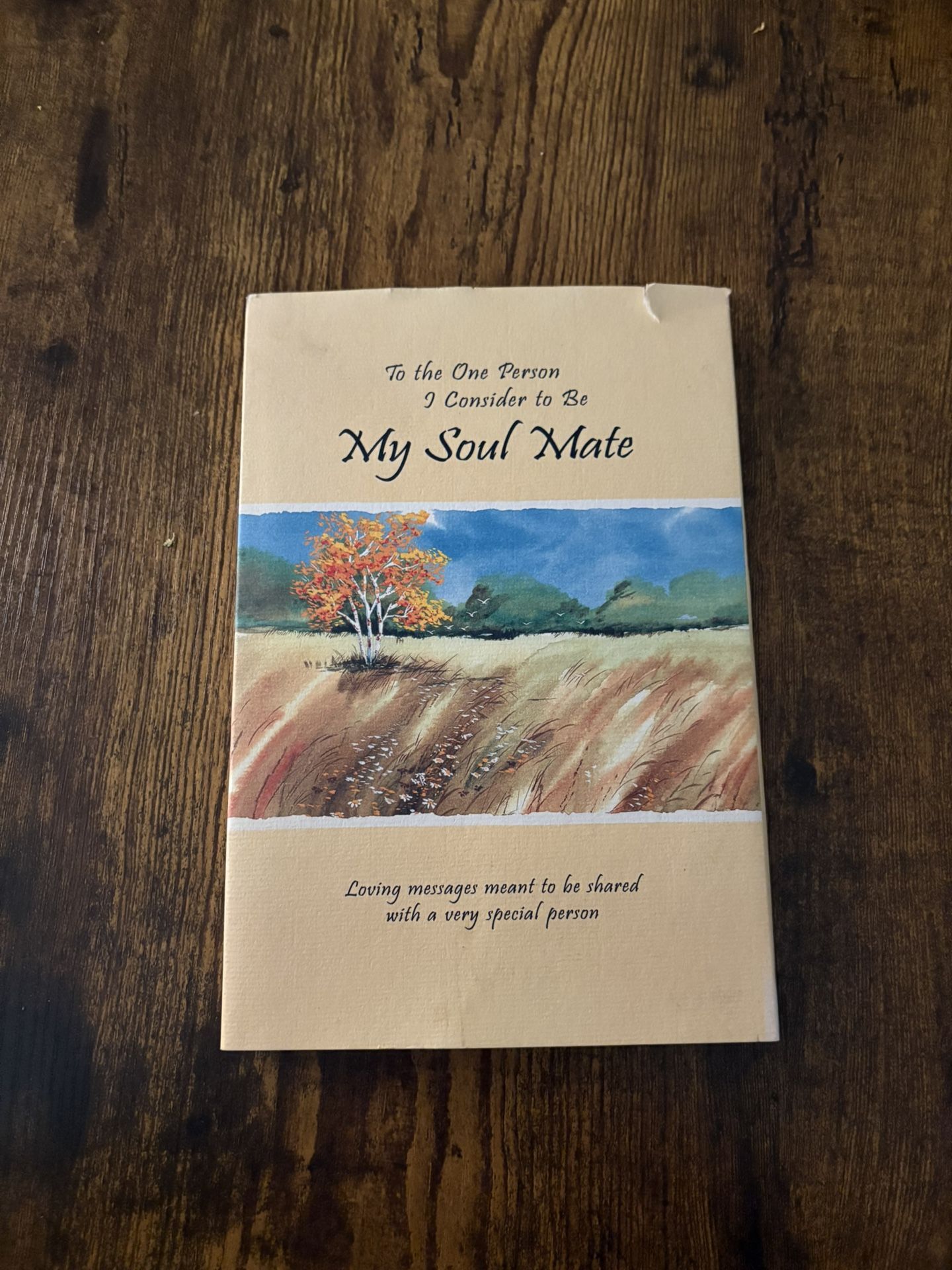 My Soul Mate