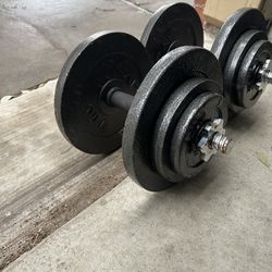 New pair of 40lb adjustable dumbbells with plates. 80lb in total