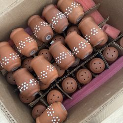 Barro Saleros/Saltshakers