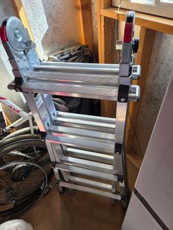Folding ladder
