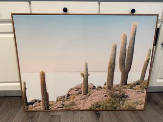 Cactus Framed Cactus Artwork