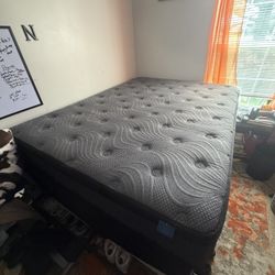 Queen Pillow Top & Split Box Springs