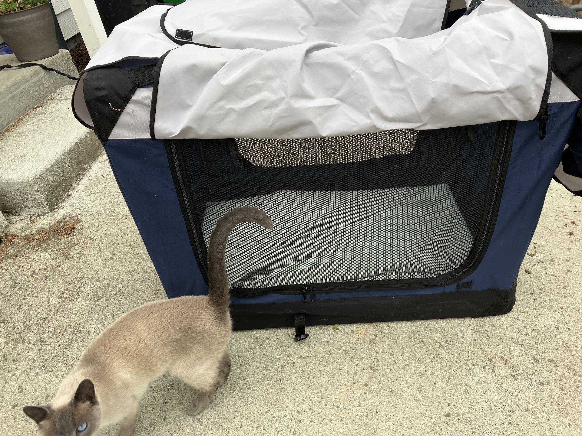 Elite Field brand Collapsible Dog Crate
