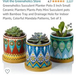 Succulent Planter Pots-3 Inch Ceramic Planters