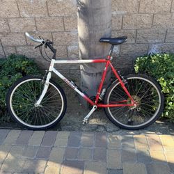 Yokota Men’s road Bike AHWHNEE frame NEW TIRES! 