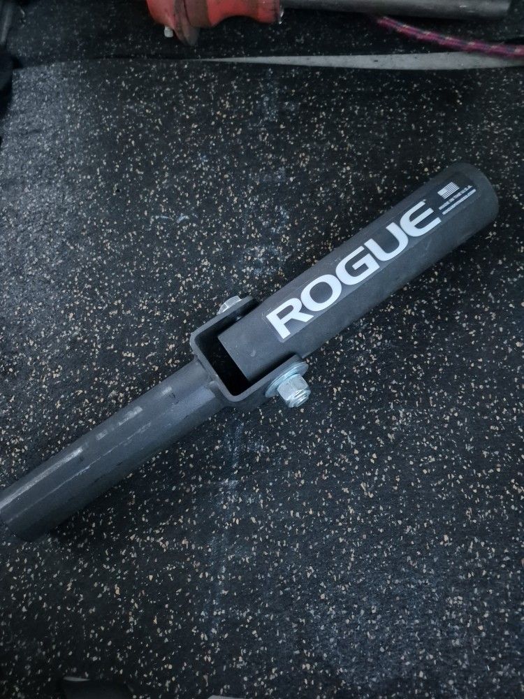 Rogue  Post Land Mine  