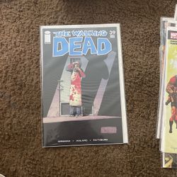 Walking Dead #39