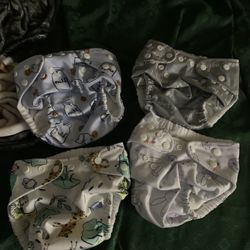 Hybrid Cloth Diapers 