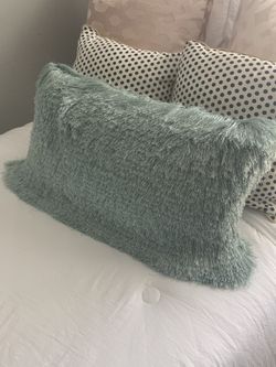 Pillow Cushions
