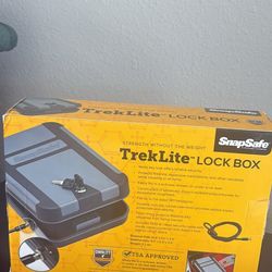 Gun Lock Box