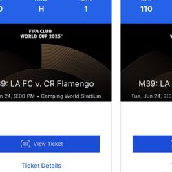 LAFC vs CR Flamengo Club World Cup: Group D Tuesday June 24th