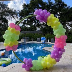 Balloon Arch Birthday Baby Shower Weddings Bridal Shiwer