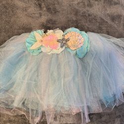 Tutu Skirt With Matching Top New