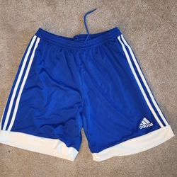 Adidas Shorts (Size M)