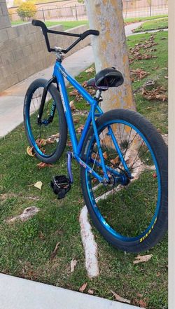 Trades only blue crush