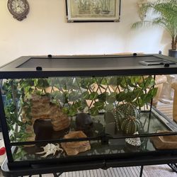 Reptile Tank 36x18x18 